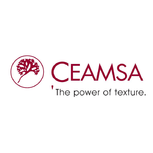 logo Ceamsa